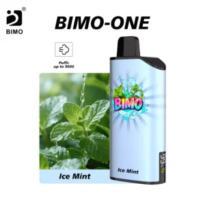 bimo one 9000 ice mint scaled 1.webp
