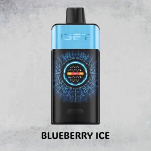 blueberry ice – iget one – 10000 puffs.jpg