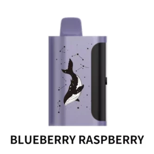 blueberry raspberry 1.webp