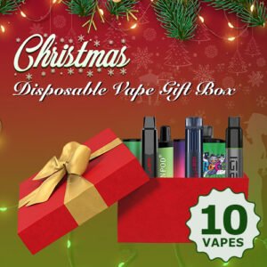 disposable vape christmas gift box 10 copy.jpg