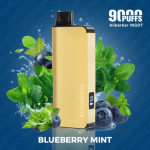 alibarbar vape 9000 blueberry mint.png
