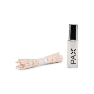 pax 3 cleaning kit 40b60db6 ac8d 48e3 8351 5ba955fe5707.jpg
